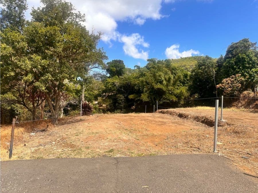 Land at San José de la Montaña