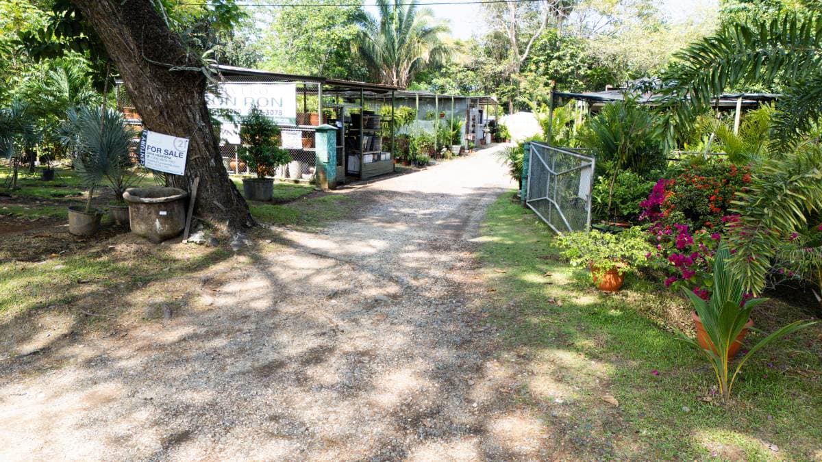 Property at Jacó