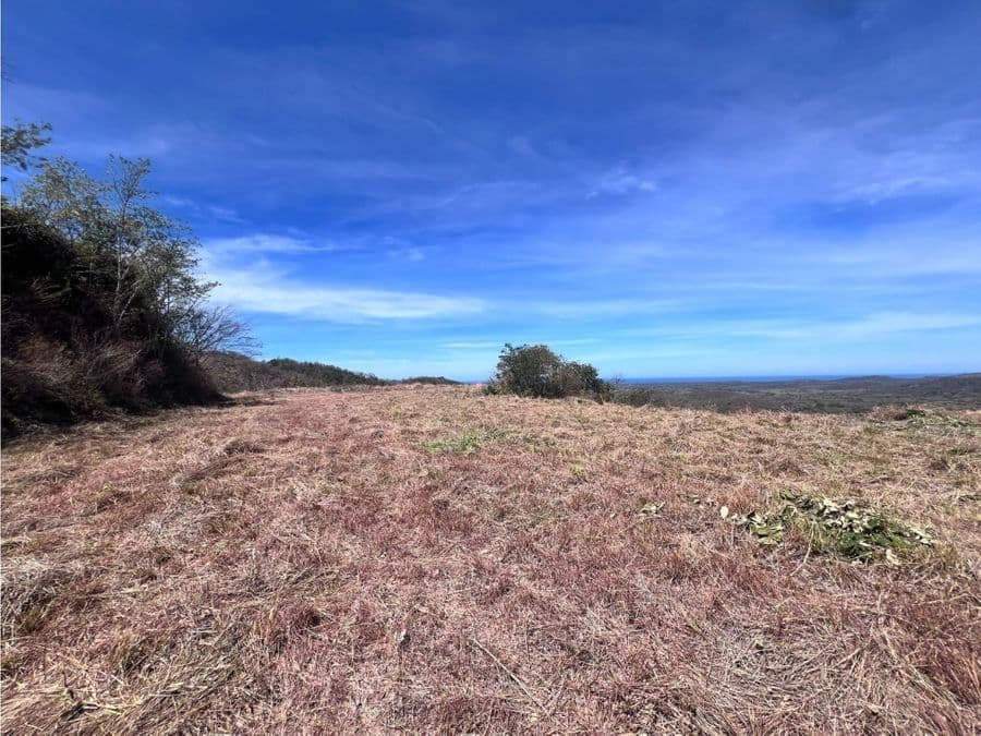 Property at Tamarindo