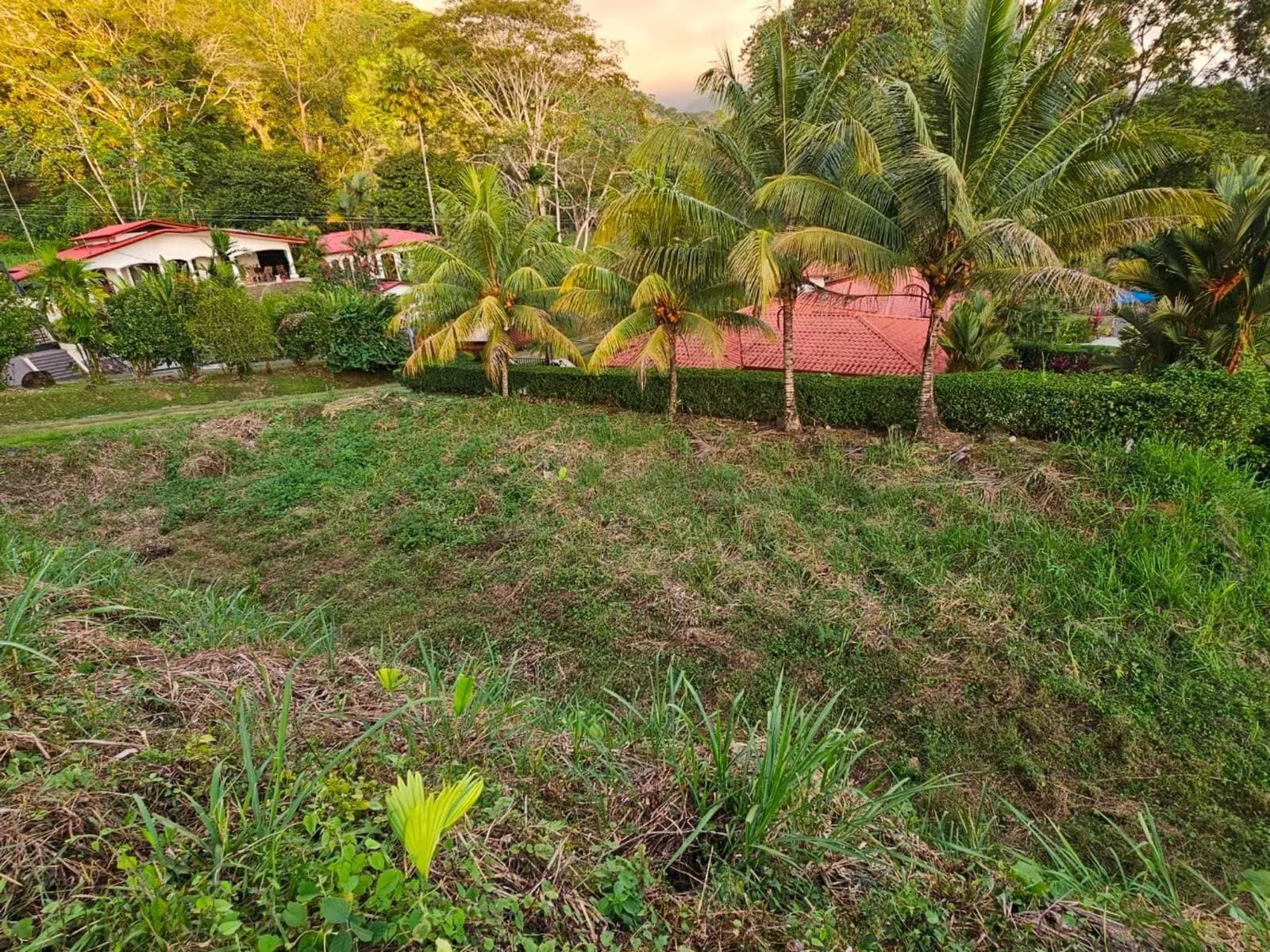 Terreno en Bahía Ballena