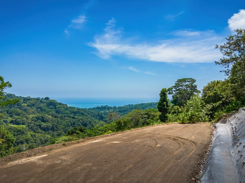 Land at Bahía Ballena