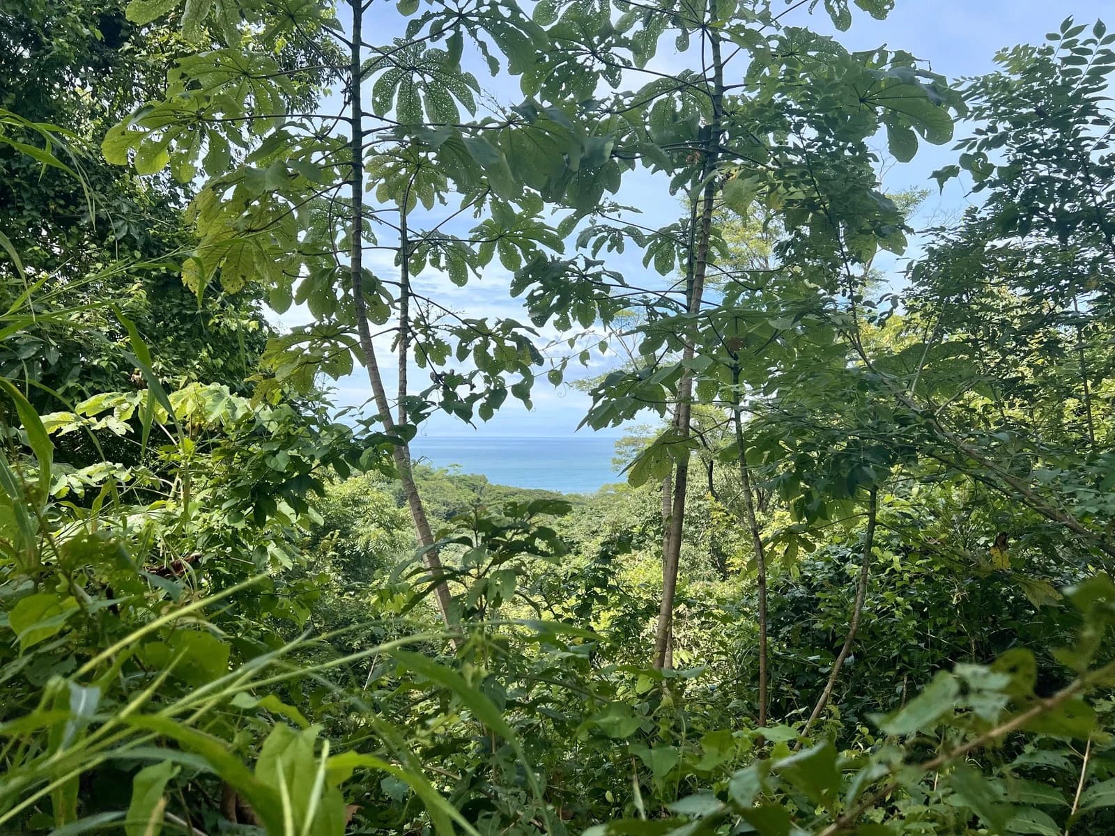 Land at Cóbano