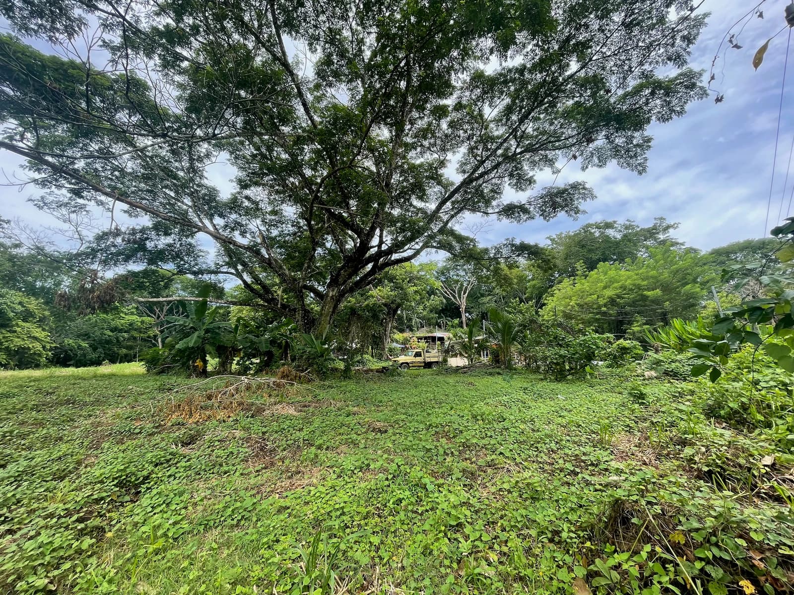Land at Cóbano