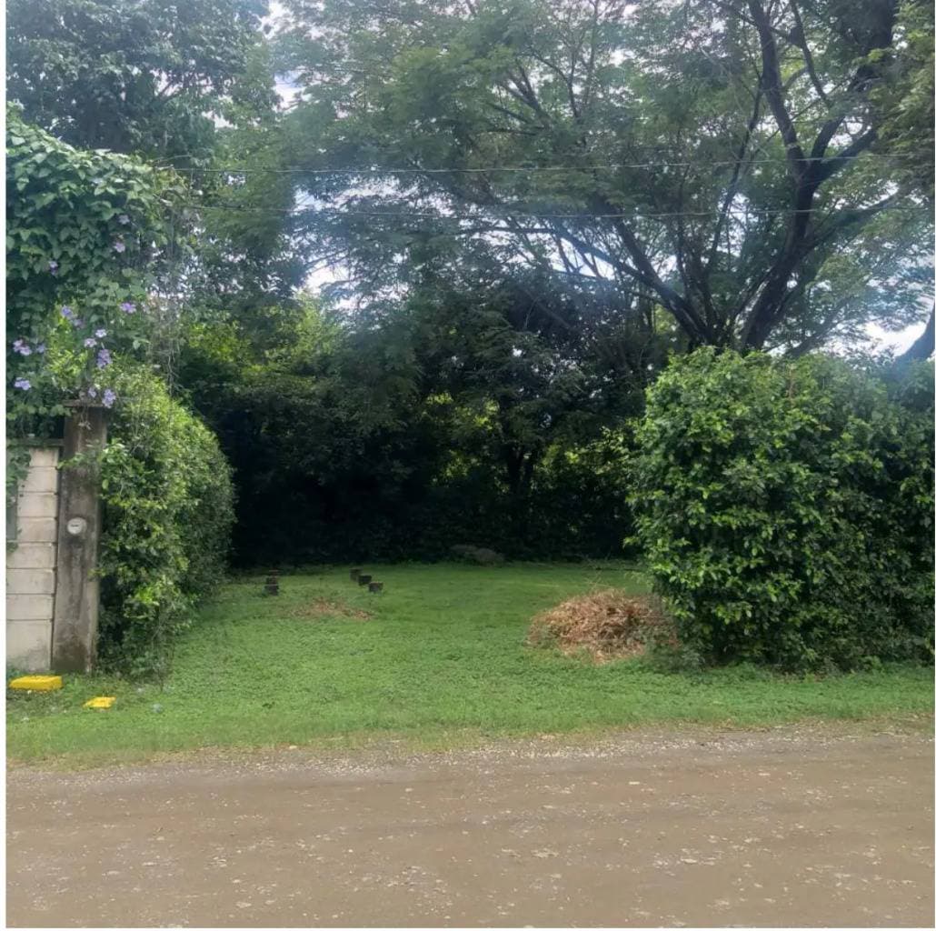 Property at Santa Cruz