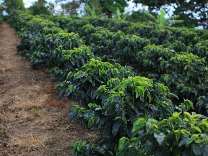 Terreno en San Isidro