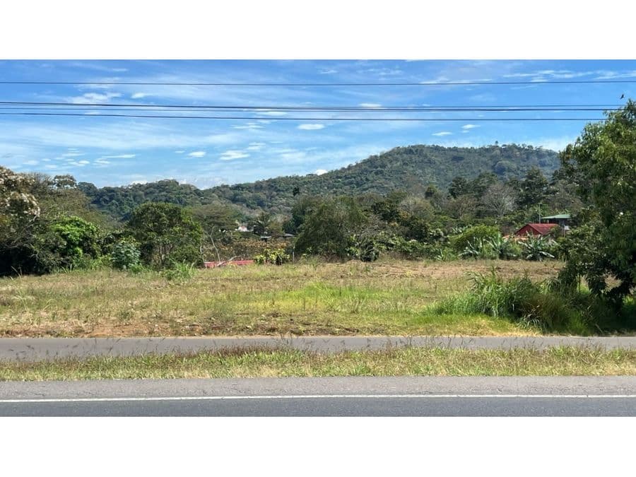 Propiedad en Naranjo