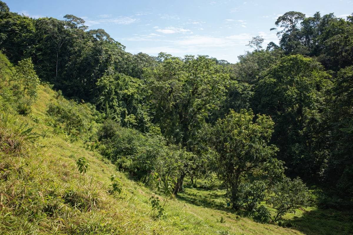 Propiedad en La Virgen