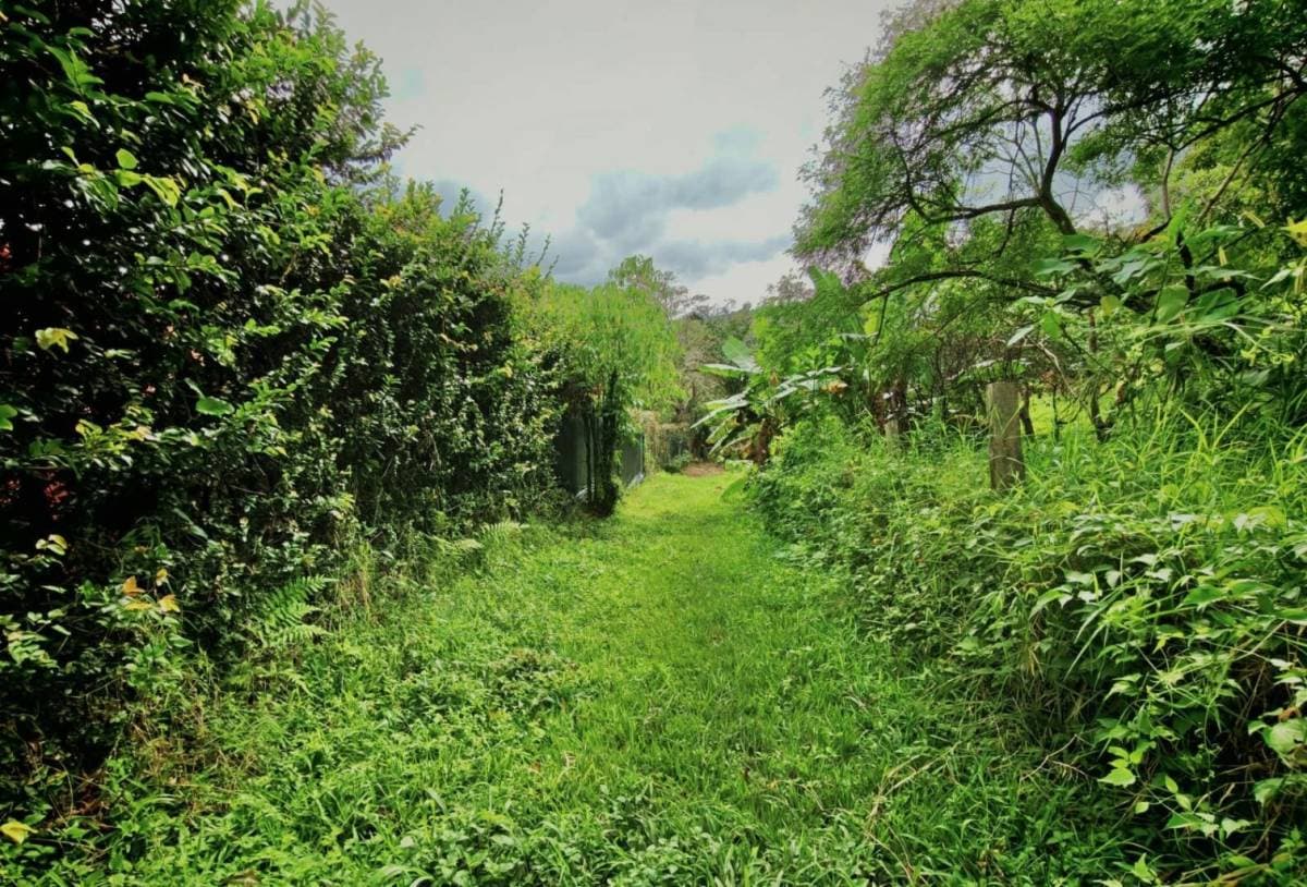 Finca en San Antonio