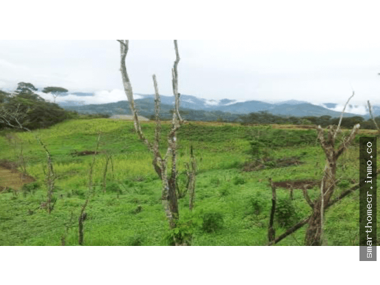 Estate at Pérez Zeledón