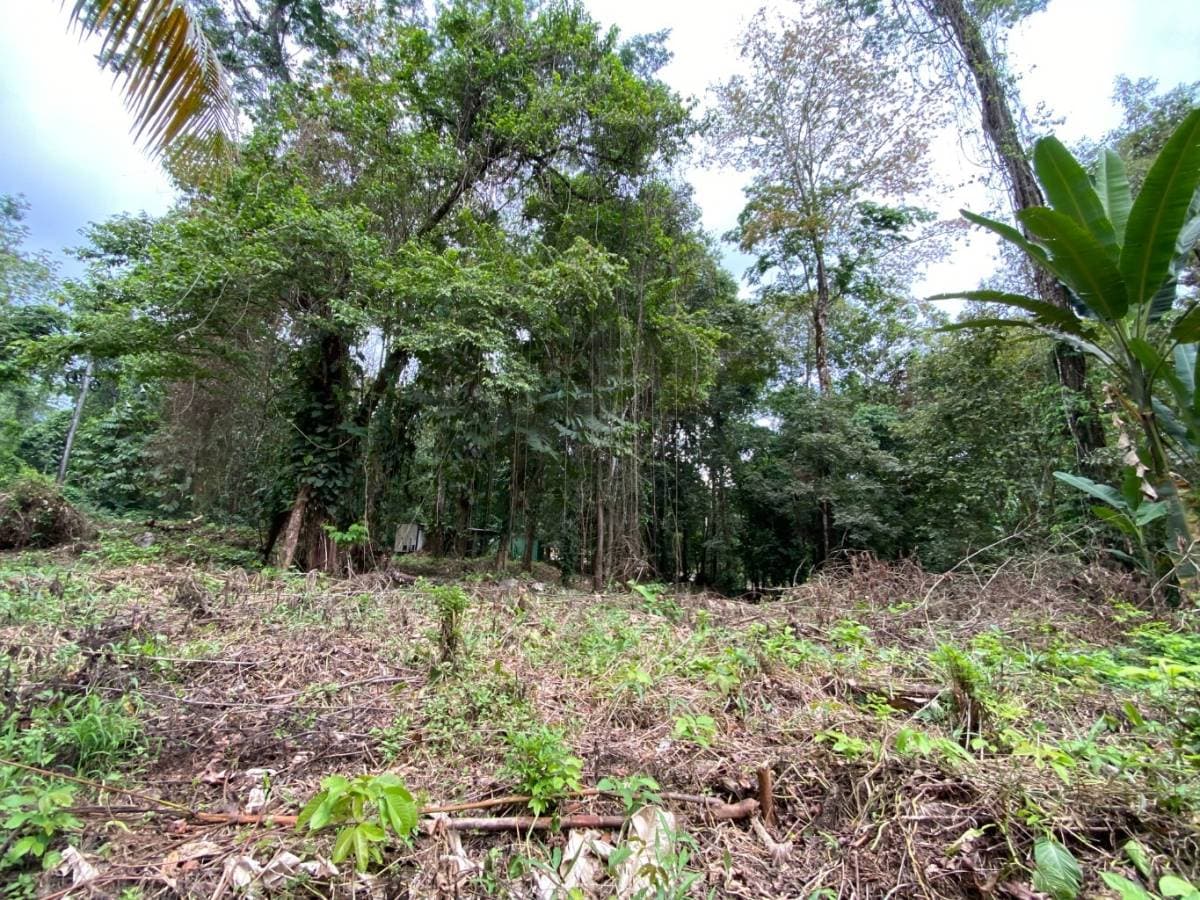 Propiedad en Ojochal