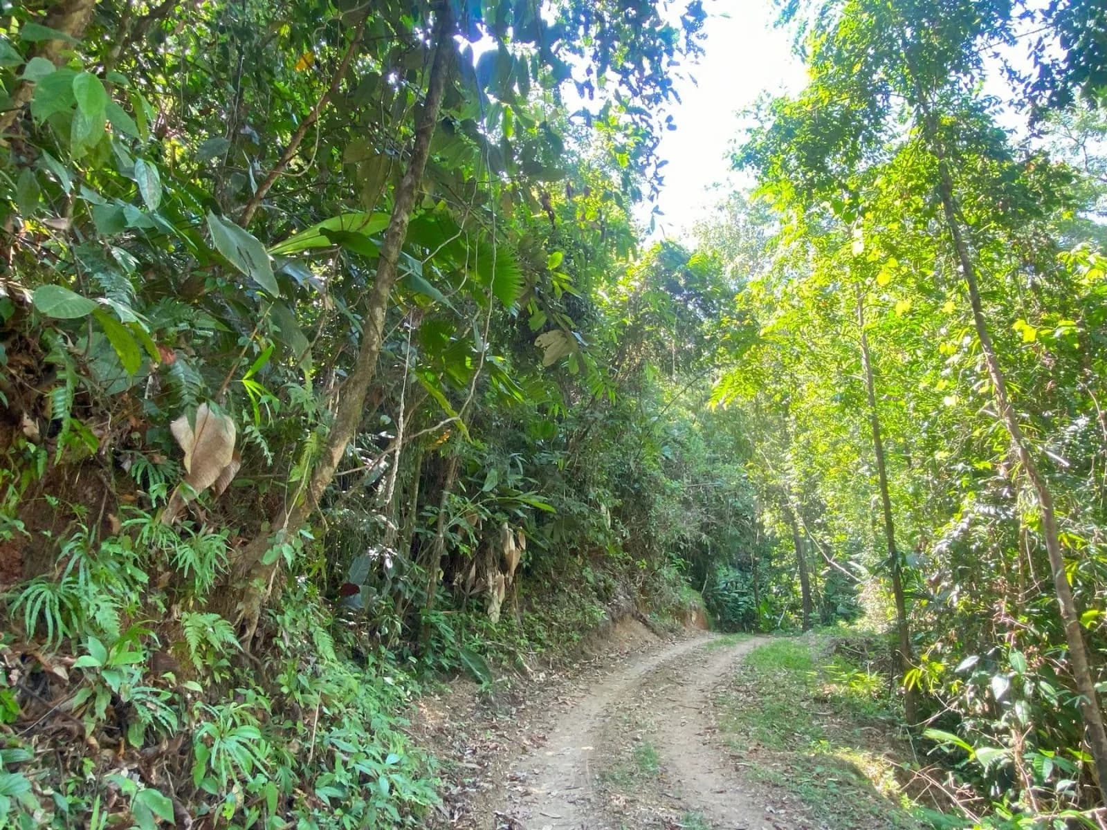 Land at Golfito