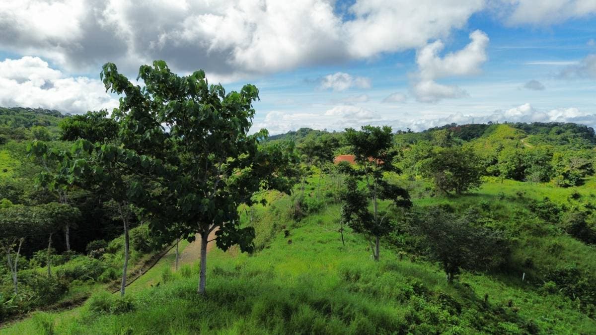 Propiedad en Chontales