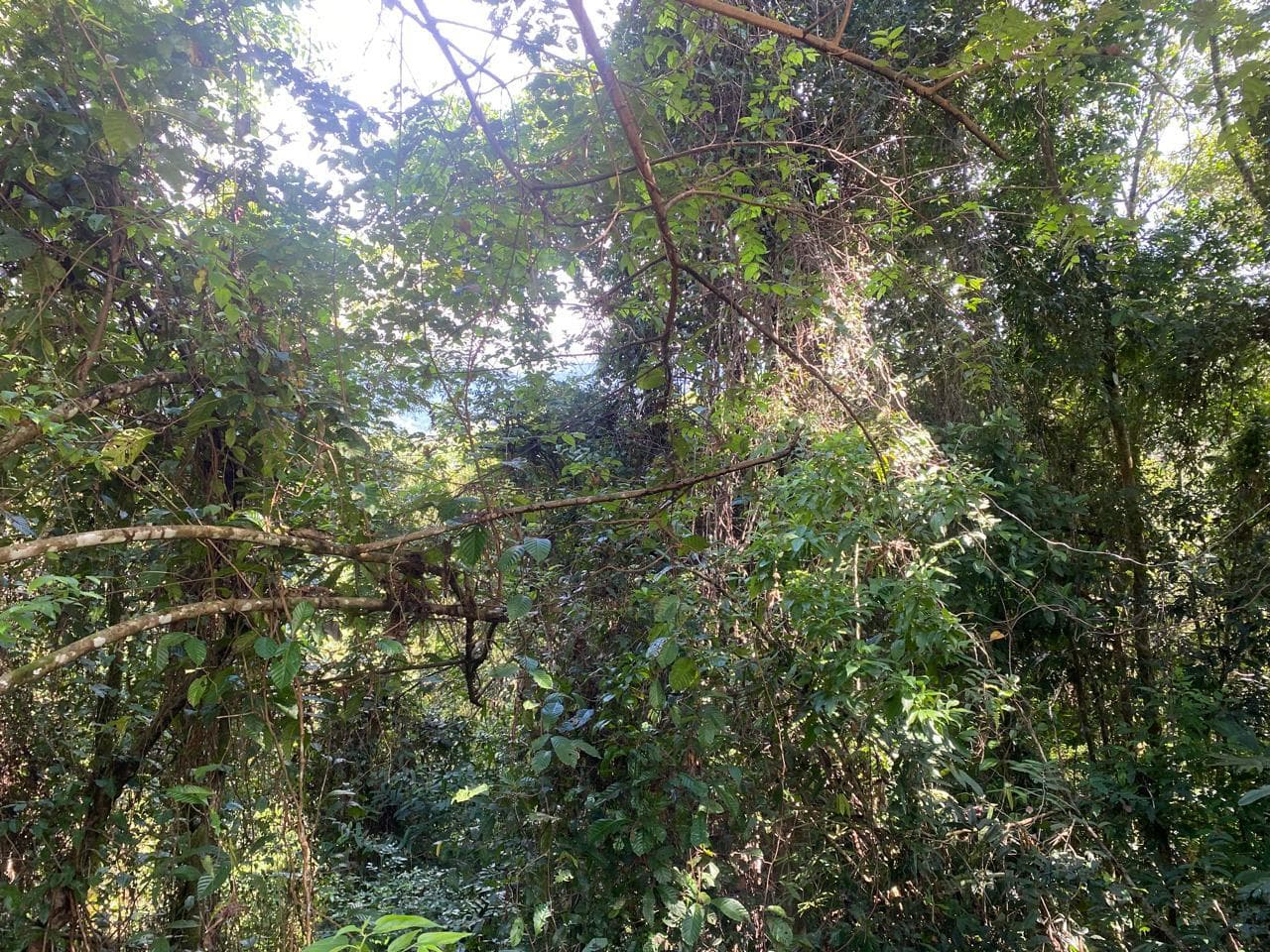 Terreno en Puerto Cortés
