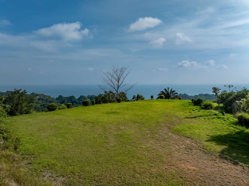 Terreno en Bahía Ballena