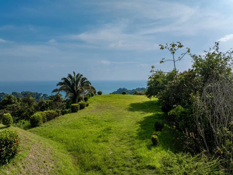 Land at Bahía Ballena