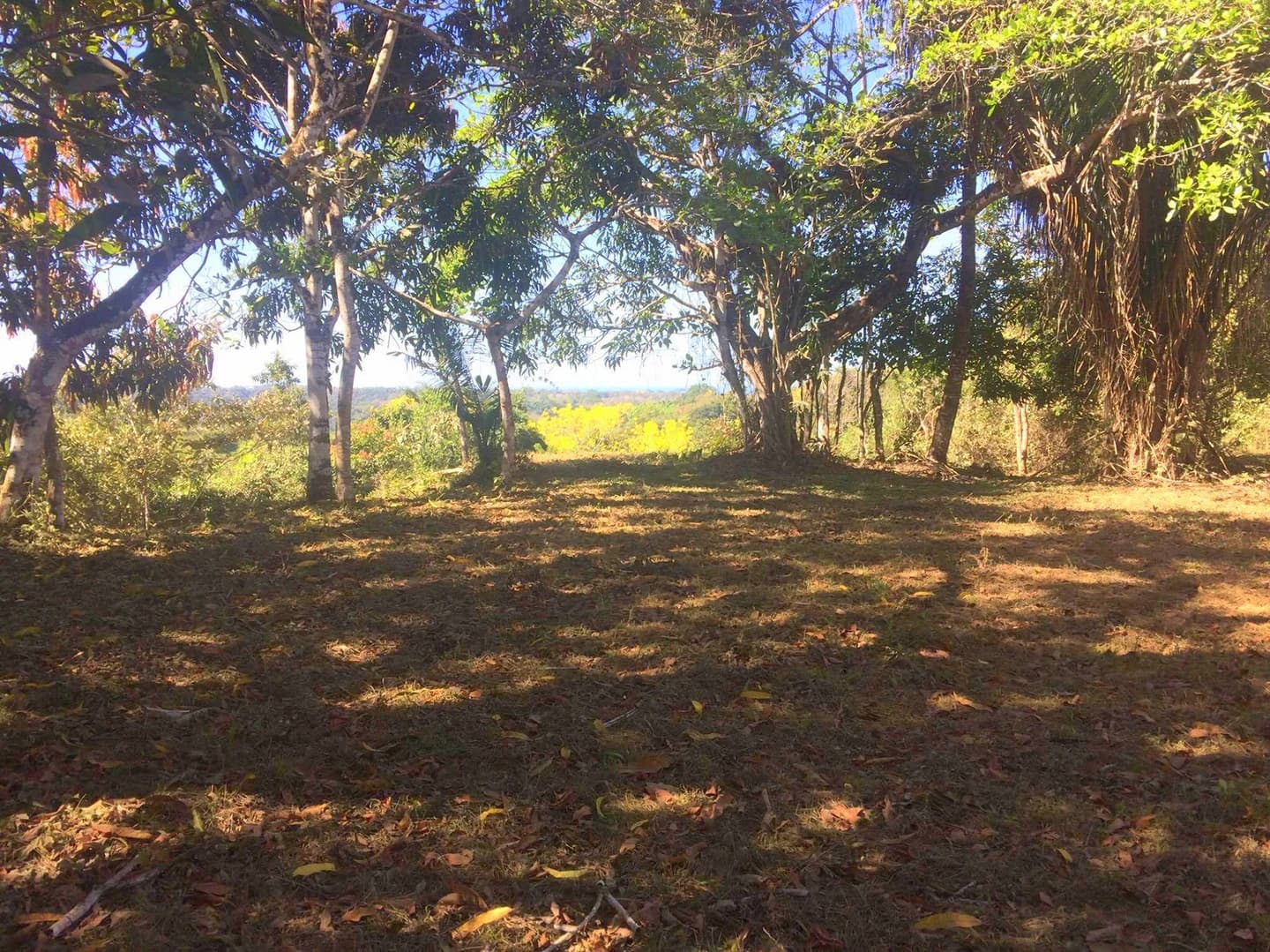 Land at Cóbano