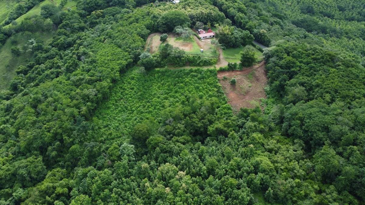 Property at Hojancha