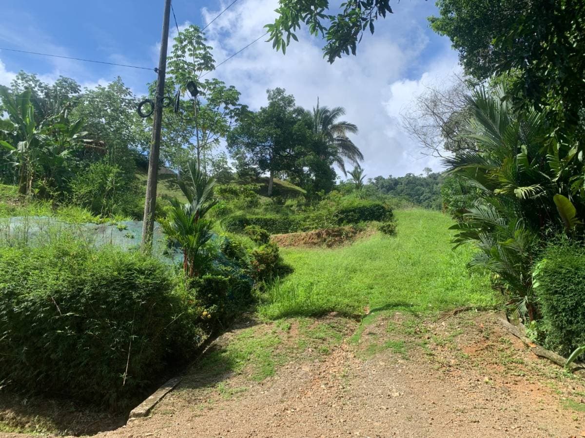 Propiedad en Uvita