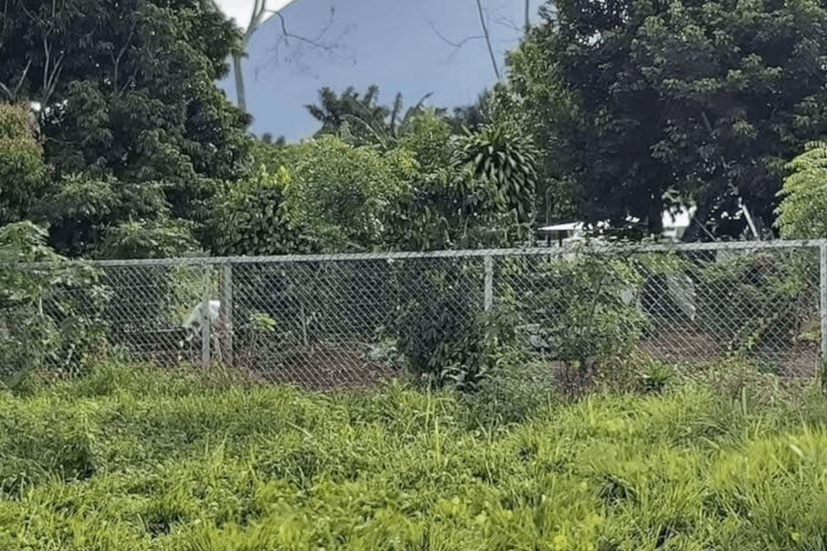 Terreno en La Fortuna