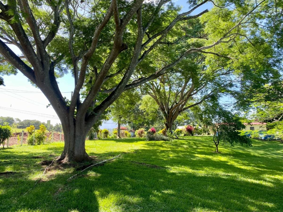 Estate at Lagunillas
