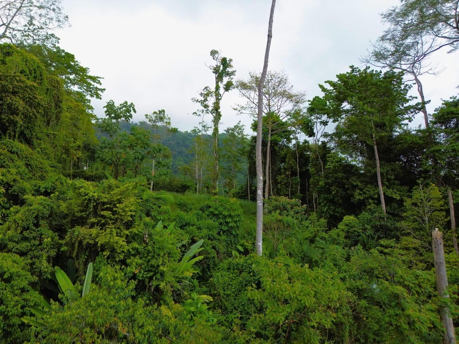 Land at Bahía Ballena
