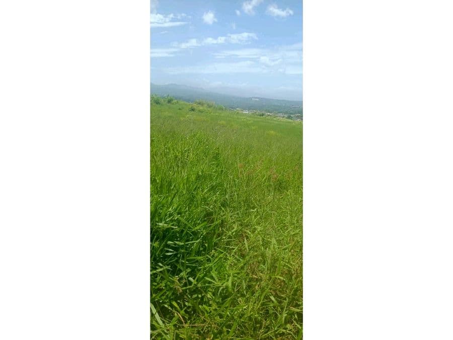 Land at Alajuela
