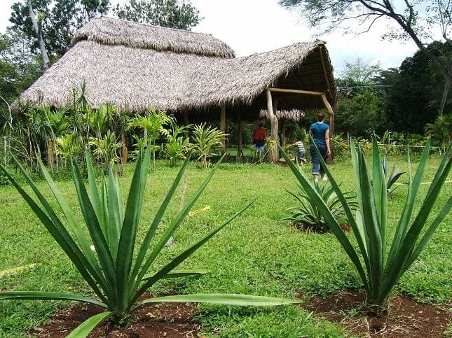 Finca en Coyolar