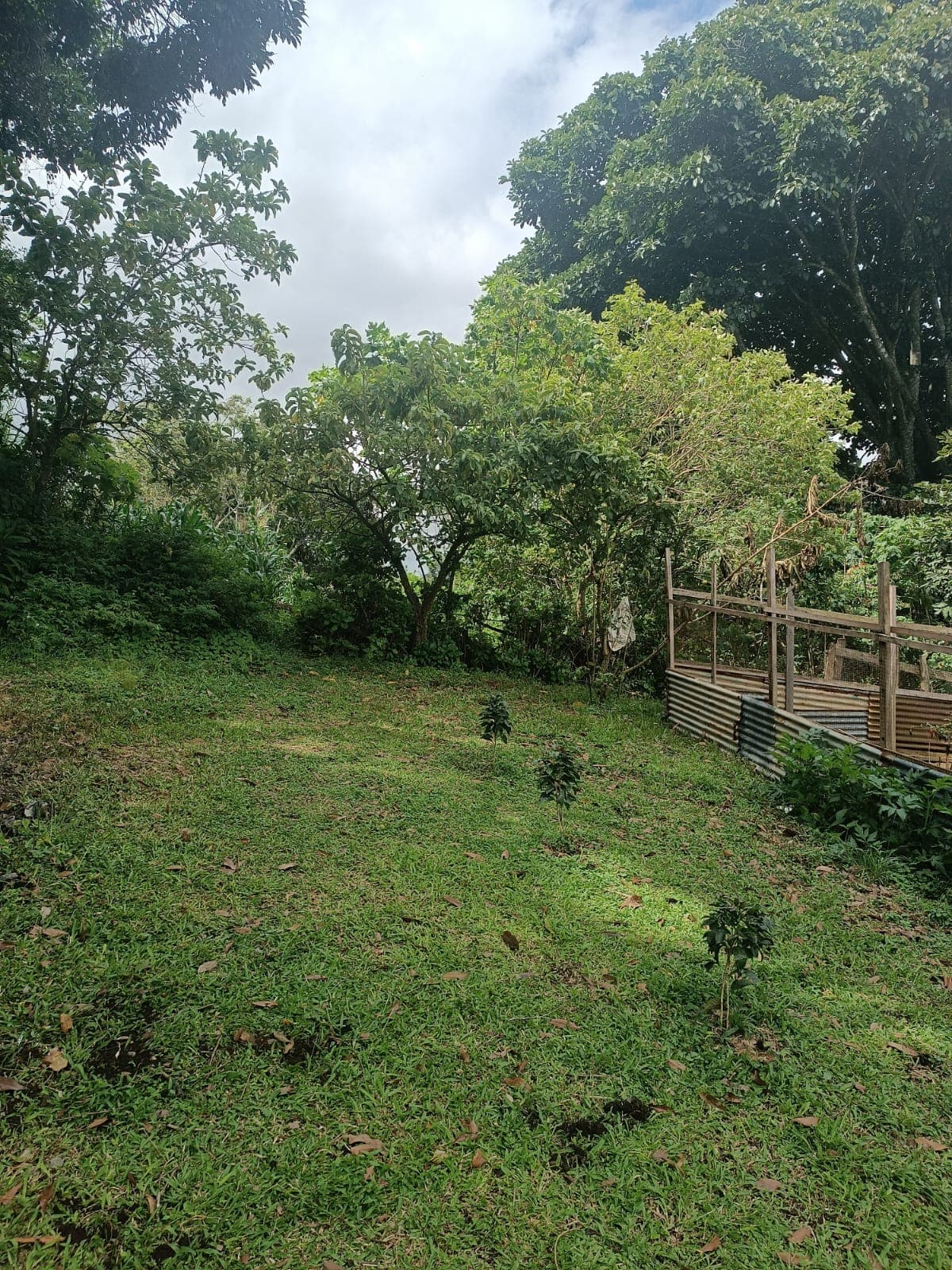 Land at Mata de Plátano