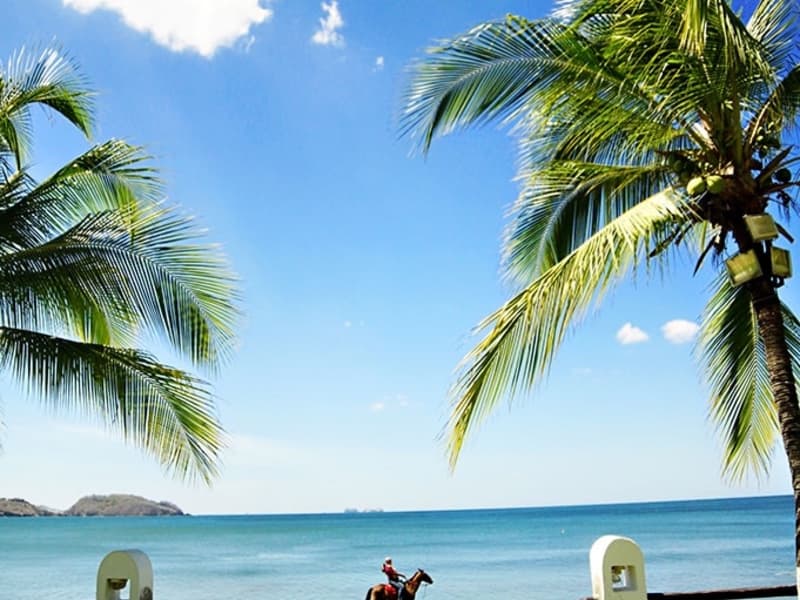 Commercial at Tempate