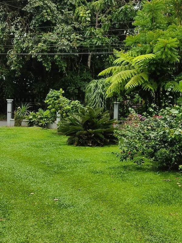 Propiedad en La Fortuna