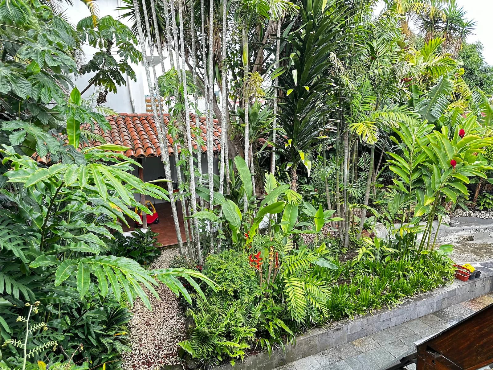 House at Curridabat