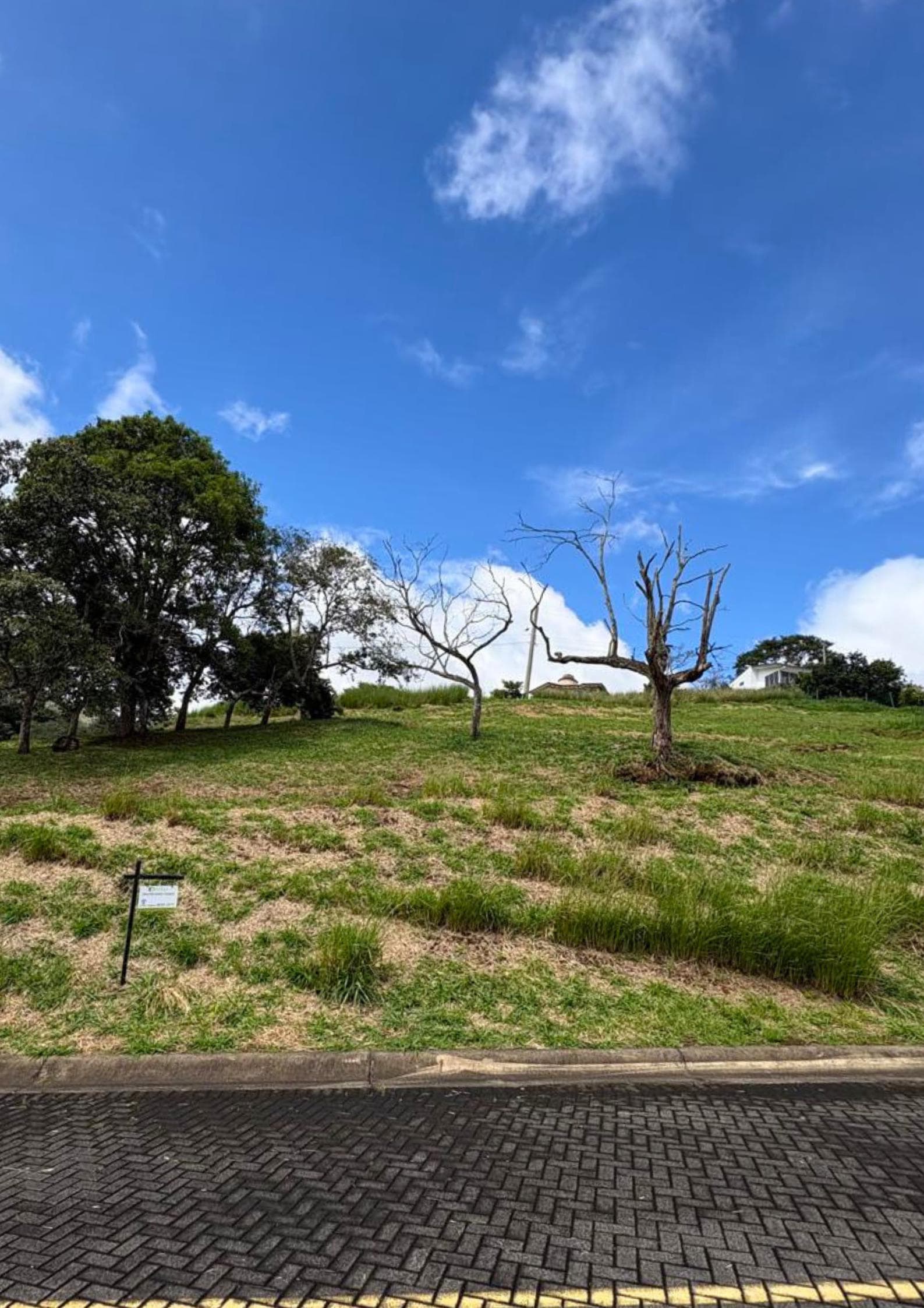 Land at Hacienda Natura