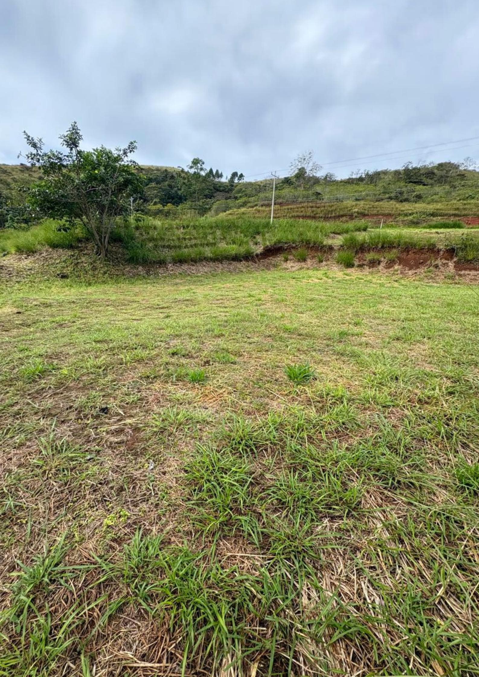 Land at Hacienda Natura