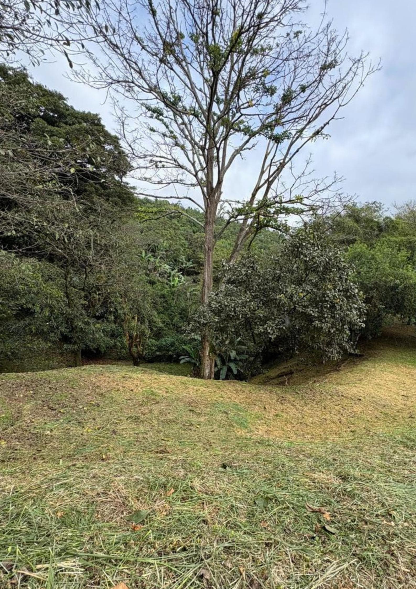 Land at Hacienda Natura