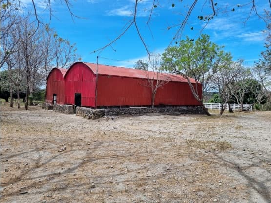 Propiedad en Palmira