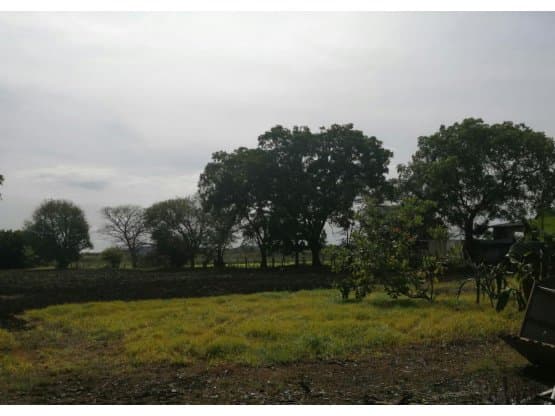 Propiedad en Guanacaste