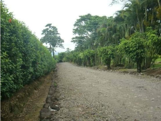 Propiedad en Sarapiquí