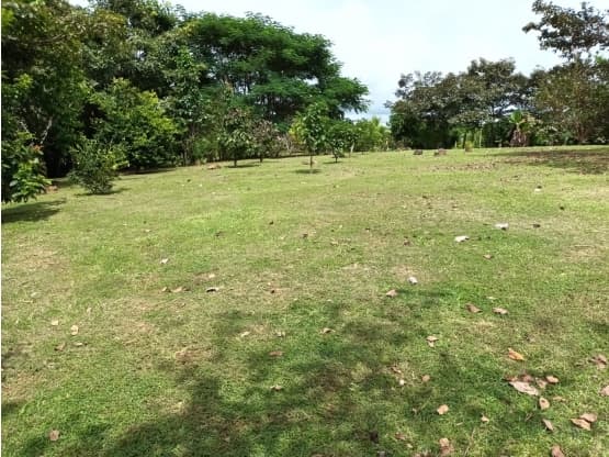Propiedad en Alajuela