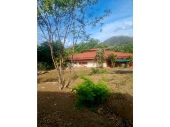 Comercial en Puntarenas