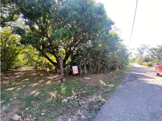 Terreno en Turrubares