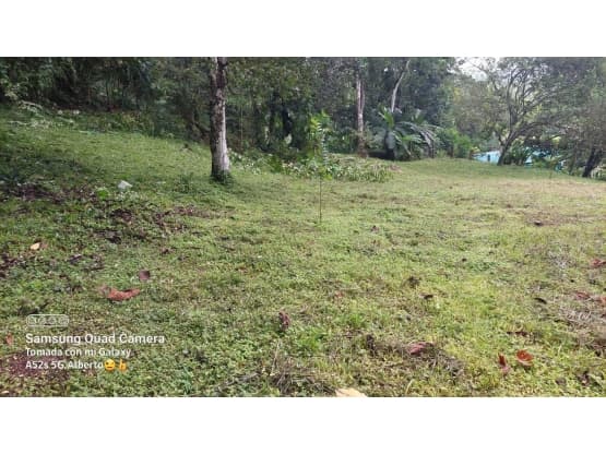 Propiedad en Golfito