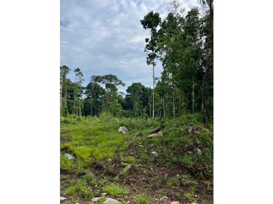 Land at Limón