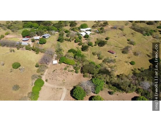 Property at Cañas