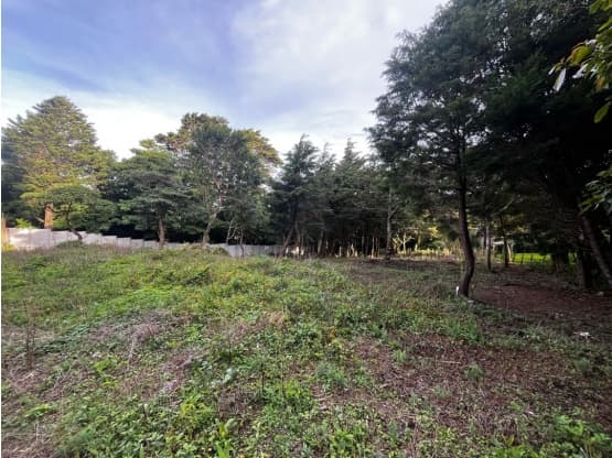 Propiedad en Residencial El Castillo