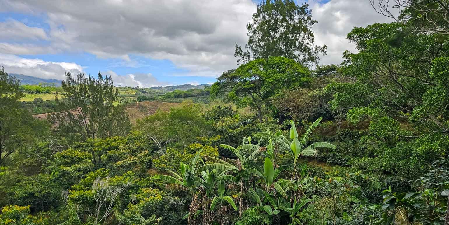 Property at Carrizal