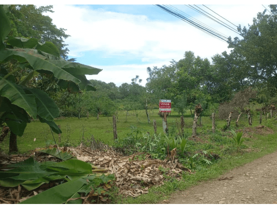 Property at Bahía Ballena