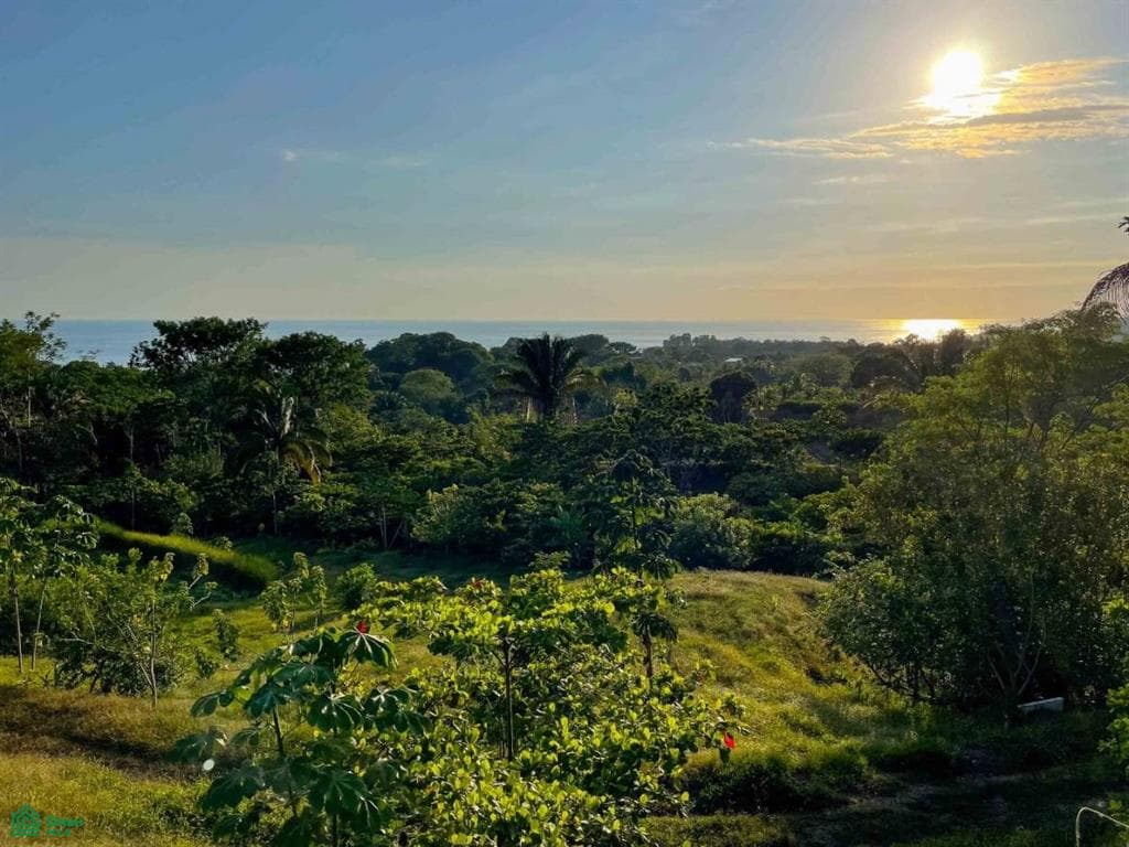Terreno en Bahía Ballena
