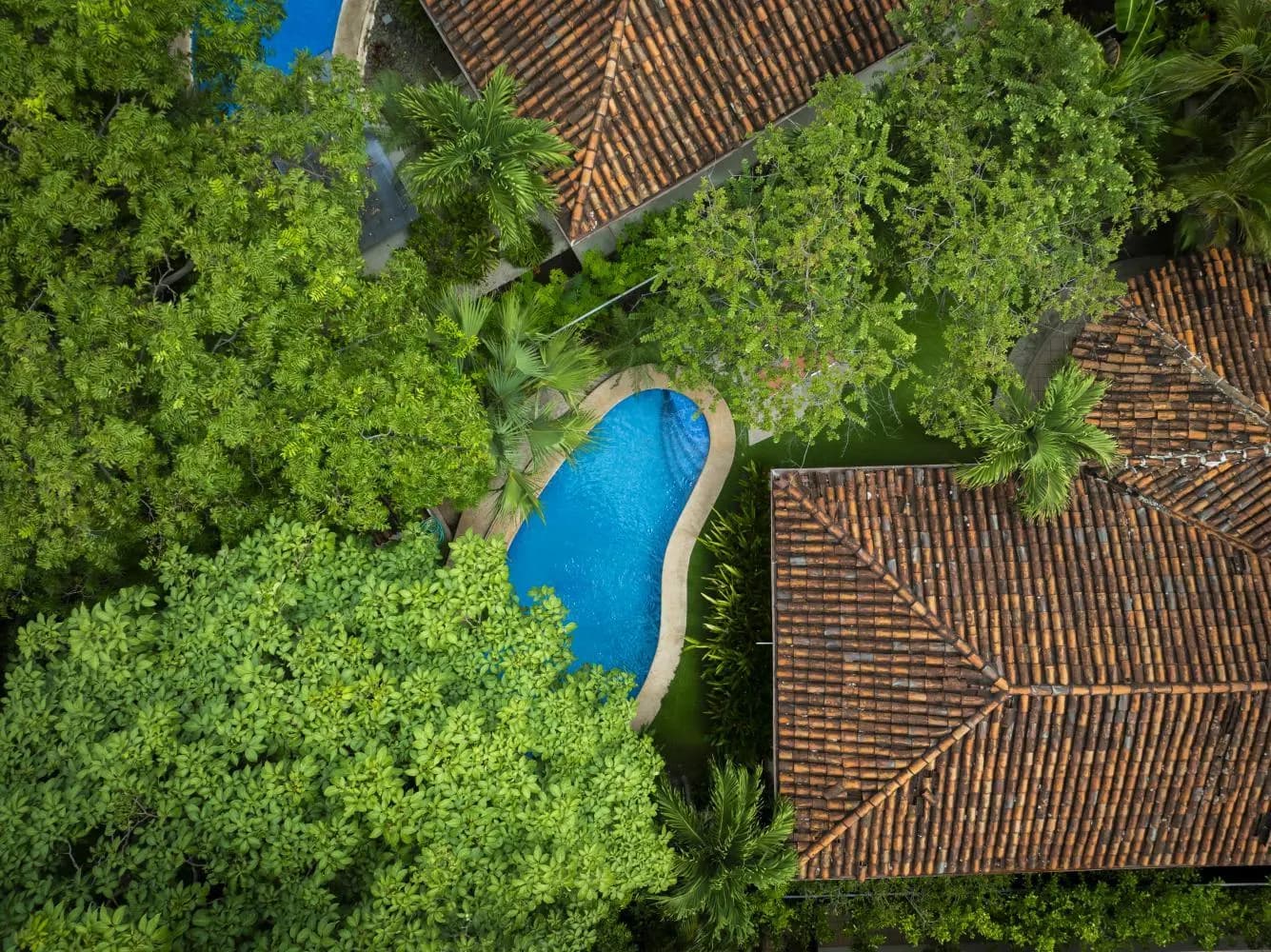 Property at Tamarindo