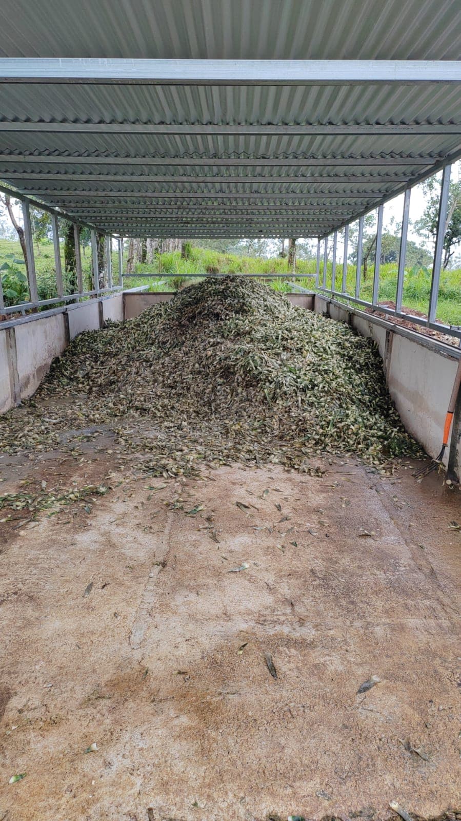 Finca en San Rafael