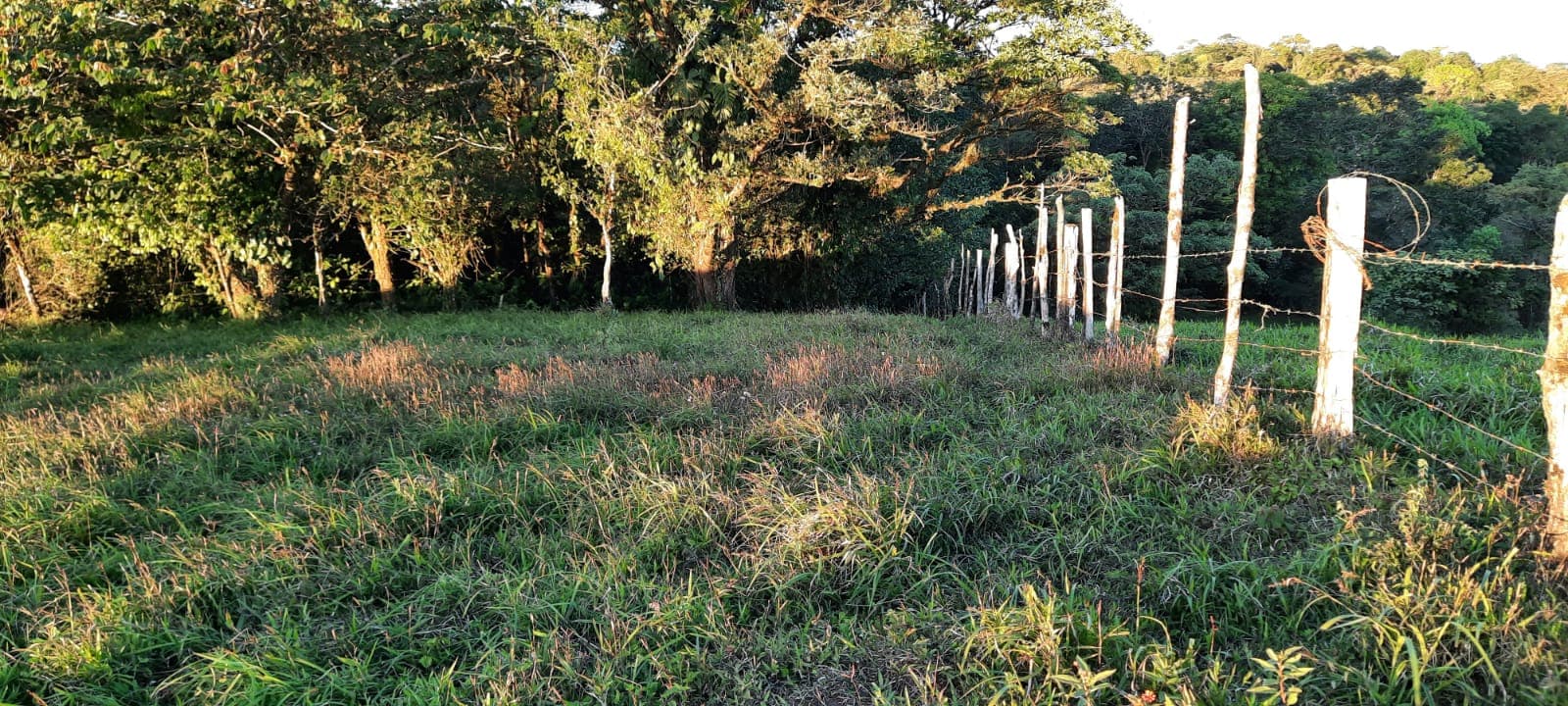 Finca en Arenal